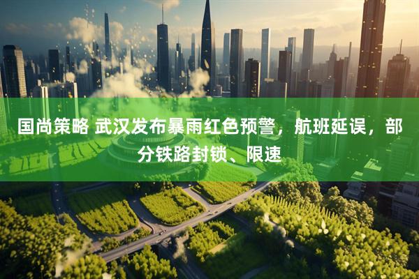 国尚策略 武汉发布暴雨红色预警，航班延误，部分铁路封锁、限速