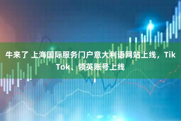 牛来了 上海国际服务门户意大利语网站上线,TikTok、领英账号上线