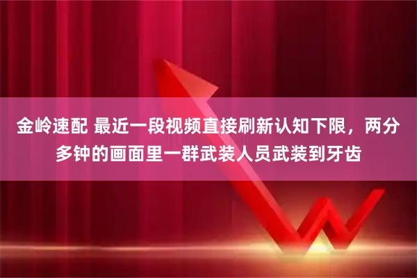 金岭速配 最近一段视频直接刷新认知下限,两分多钟的画面里一群武装人员武装到牙齿